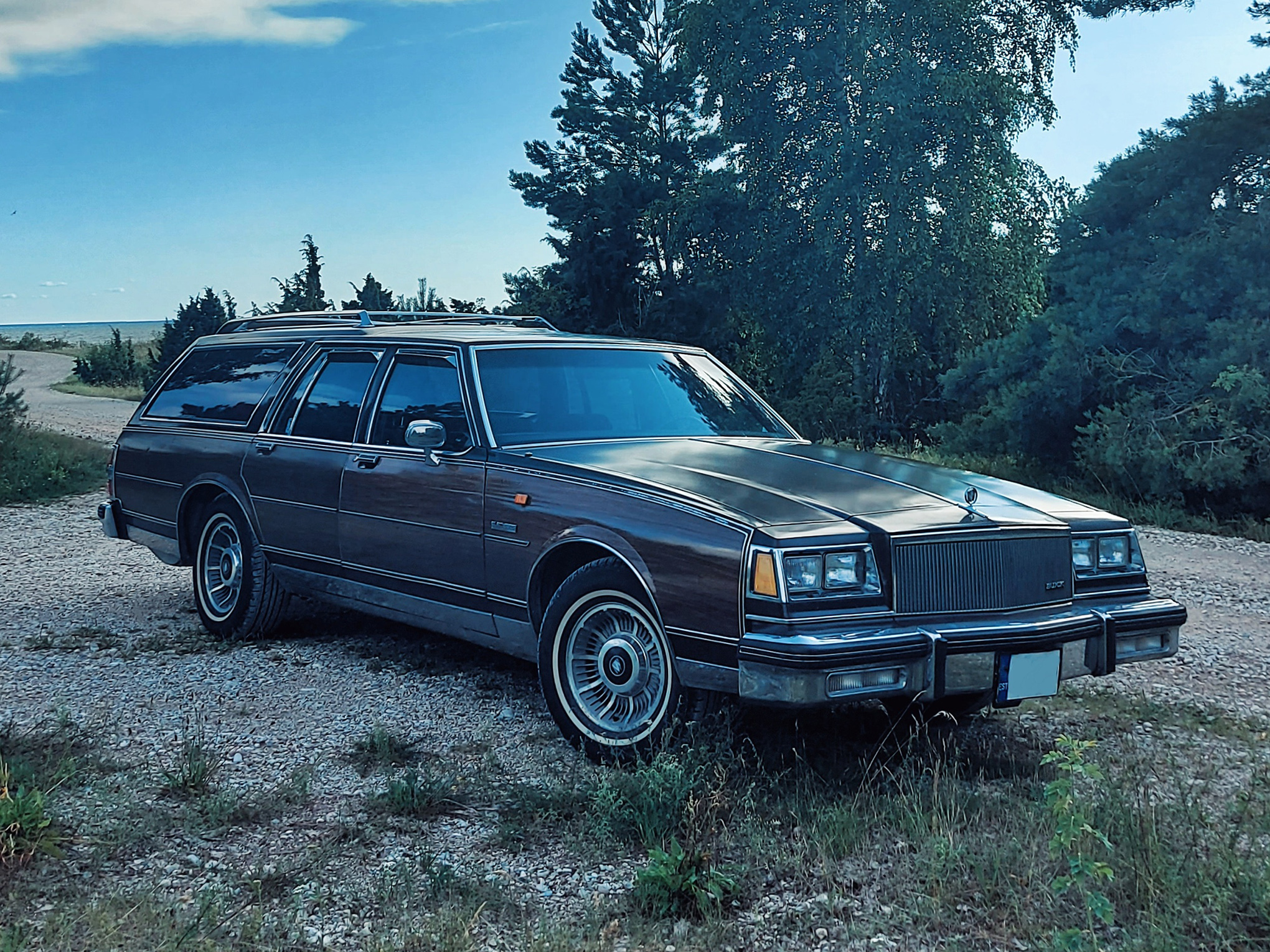 Dodge Charger 1974